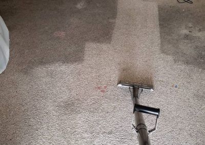 Carpet Cleaning Companies Springfield OR