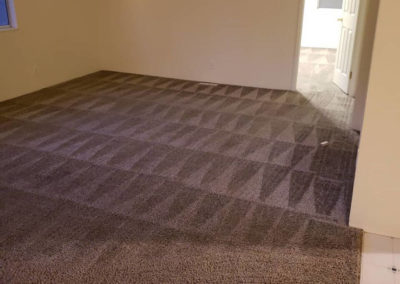 Carpet Deep Cleaning Services Springfield