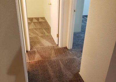 Deep Carpet Cleaning Springfield