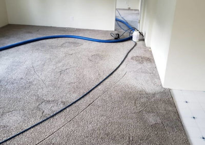 Carpet Cleaning Services Springfield