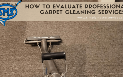 How To Evaluate Professional Carpet Cleaning Services?