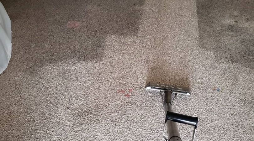 How To Evaluate Professional Carpet Cleaning Services