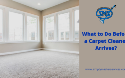 What to Do Before a Carpet Cleaner Arrives?
