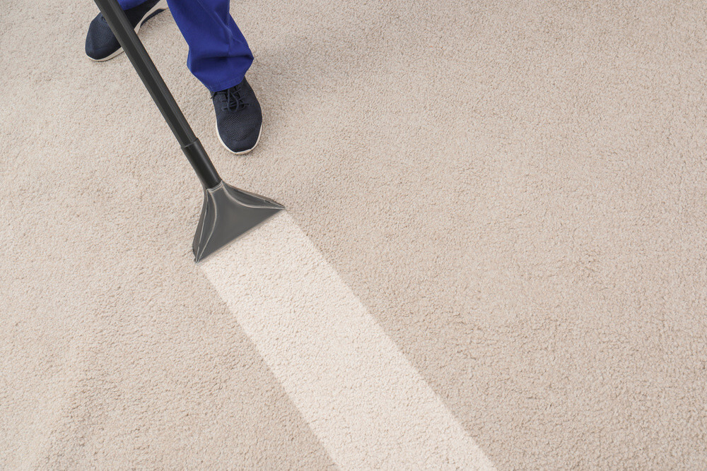 carpet cleaning by professional Springfield