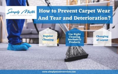 How to Prevent Carpet Wear and Tear and Deterioration?