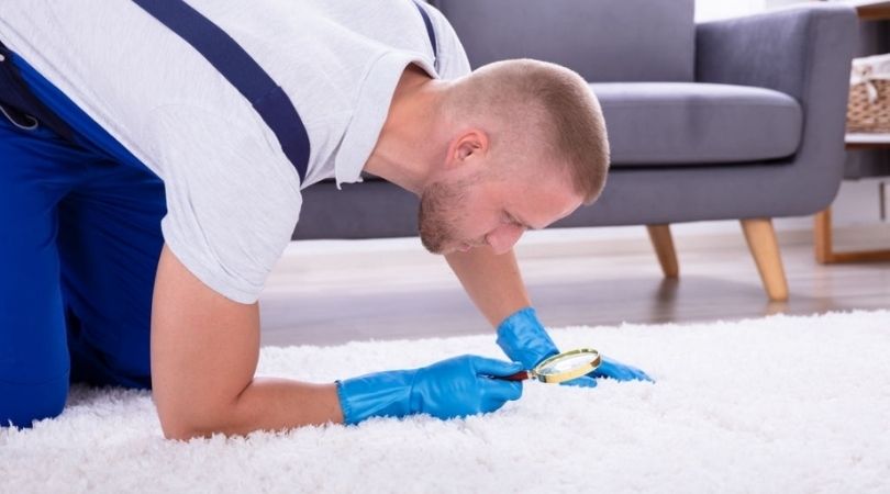 Restoration Carpet Cleaning Springfield OR