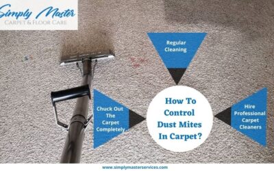 How To Control Dust Mites In Carpet?