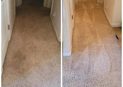 Before After Carpet Cleaning