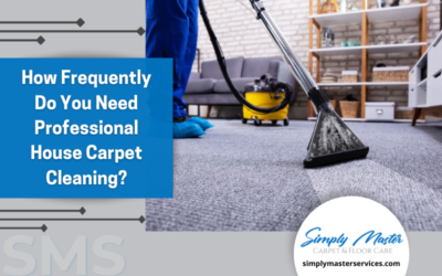 How Frequently Do You Need Professional House Carpet Cleaning?