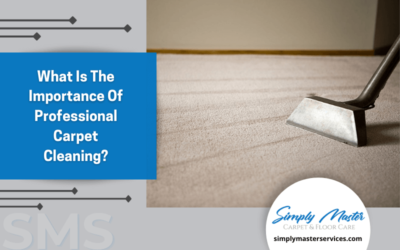 What Is The Importance Of Professional Carpet Cleaning?