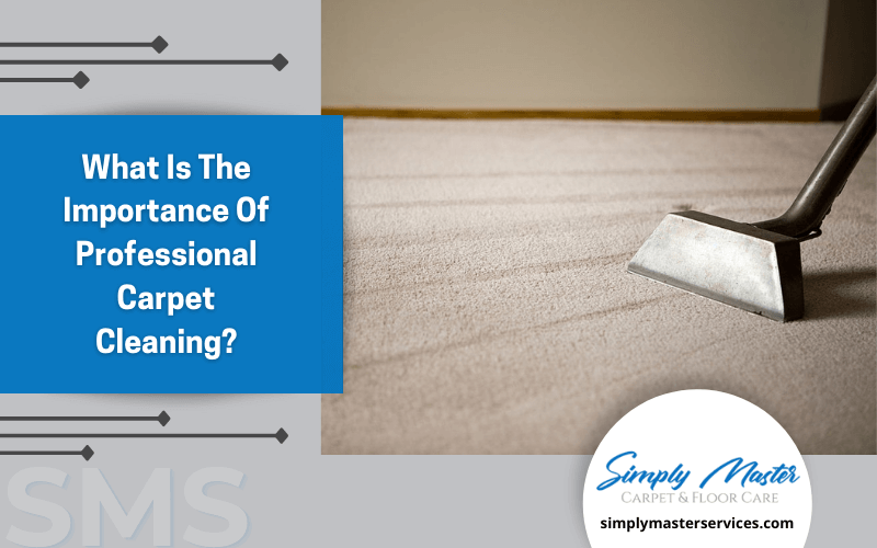 professional carpet cleaning