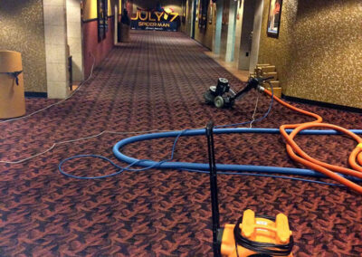 Commercial Carpet cleaning